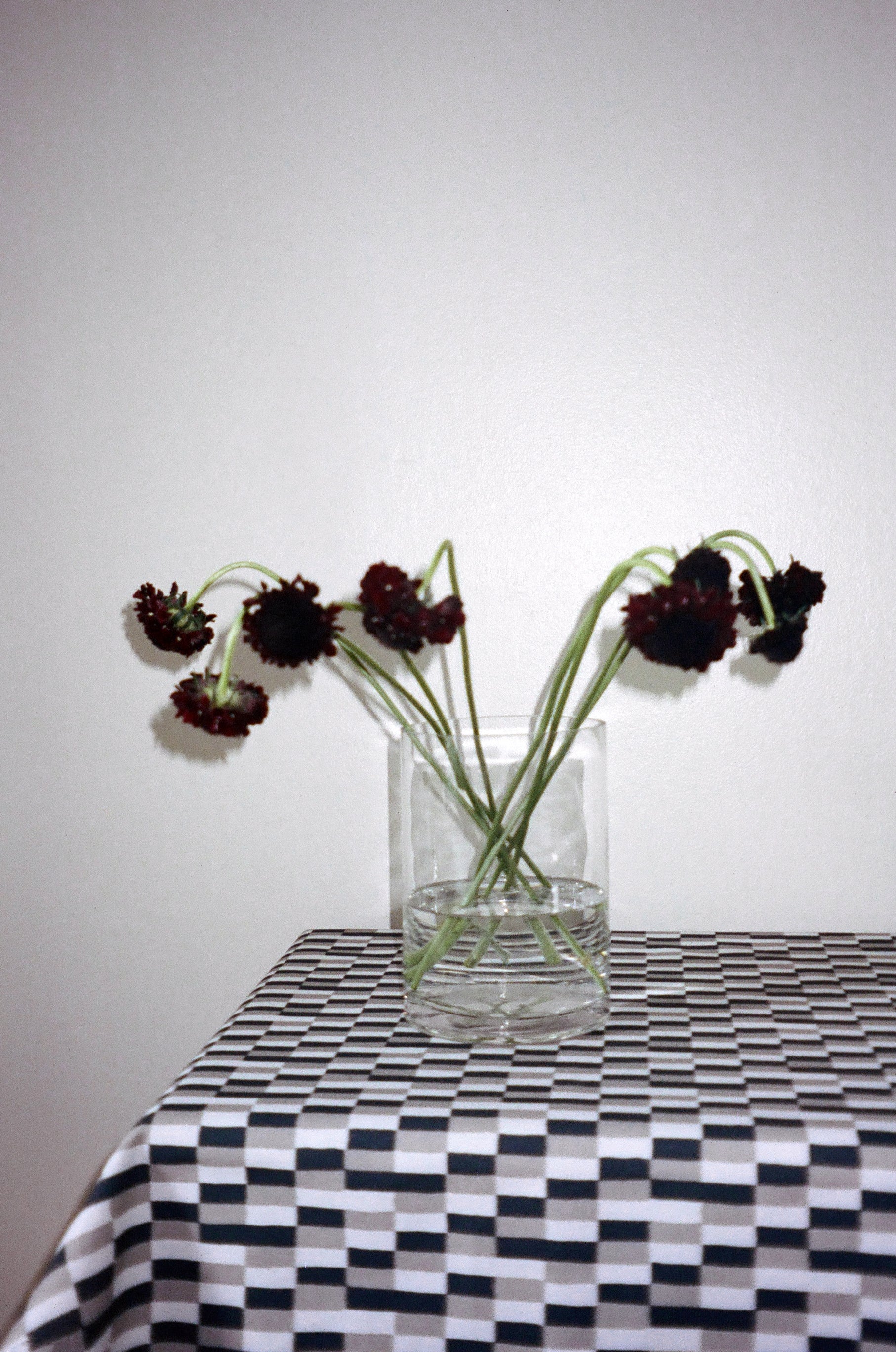 Borås Cotton x Emma Harling